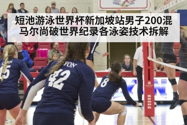 短池游泳世界杯新加坡站男子200混马尔尚破世界纪录各泳姿技术拆解